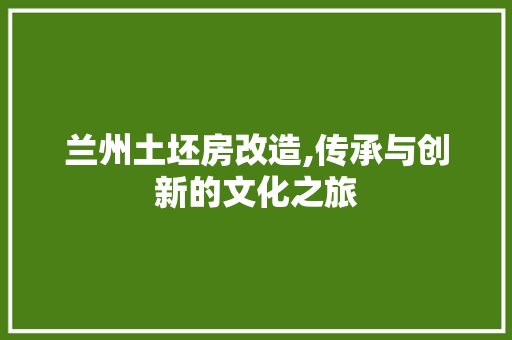 兰州土坯房改造,传承与创新的文化之旅