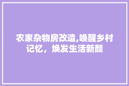 农家杂物房改造,唤醒乡村记忆，焕发生活新颜