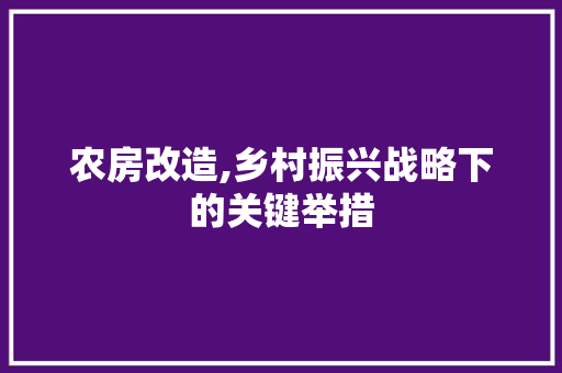 农房改造,乡村振兴战略下的关键举措