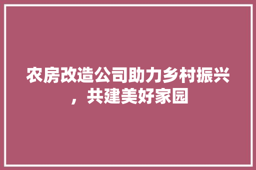农房改造公司助力乡村振兴，共建美好家园