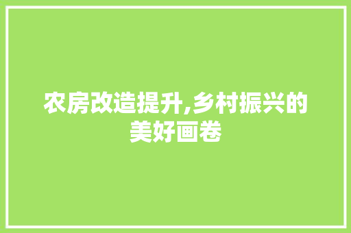 农房改造提升,乡村振兴的美好画卷