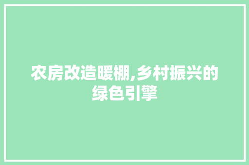 农房改造暖棚,乡村振兴的绿色引擎(农村房屋暖棚)