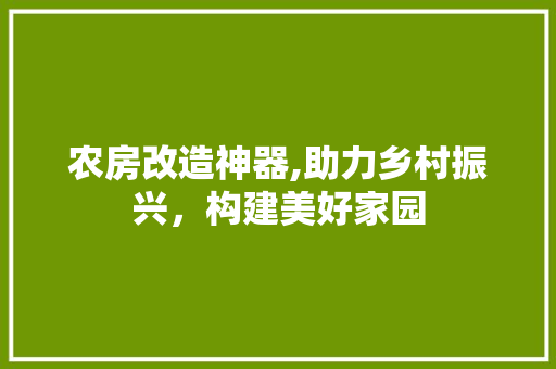 农房改造神器,助力乡村振兴，构建美好家园