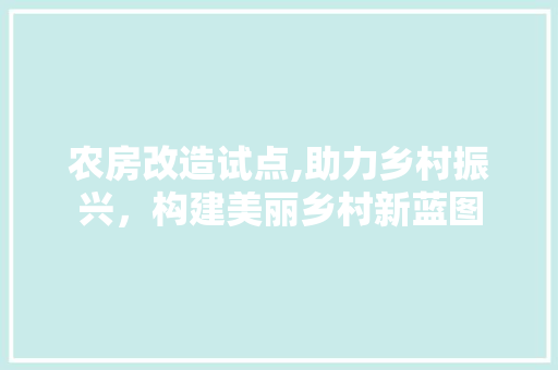 农房改造试点,助力乡村振兴，构建美丽乡村新蓝图(农房改造案例)