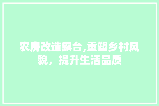 农房改造露台,重塑乡村风貌，提升生活品质