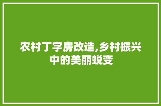 农村丁字房改造,乡村振兴中的美丽蜕变
