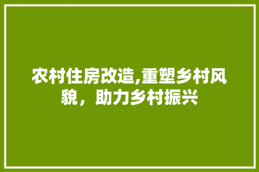 农村住房改造,重塑乡村风貌，助力乡村振兴