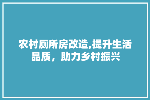 农村厕所房改造,提升生活品质，助力乡村振兴