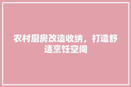 农村厨房改造收纳，打造舒适烹饪空间