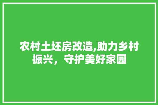 农村土坯房改造,助力乡村振兴，守护美好家园