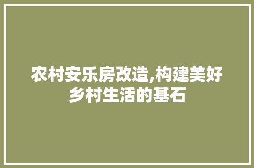 农村安乐房改造,构建美好乡村生活的基石(农村安乐房改造,构建美好乡村生活的基石是什么)