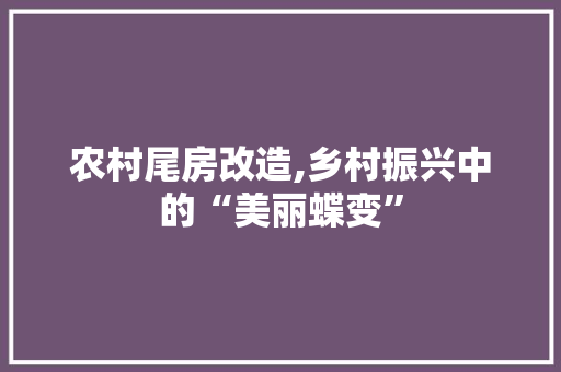 农村尾房改造,乡村振兴中的“美丽蝶变”(农村尾房政府怎样处理)