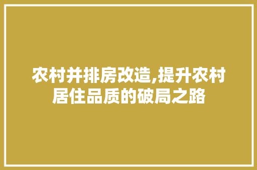 农村并排房改造,提升农村居住品质的破局之路