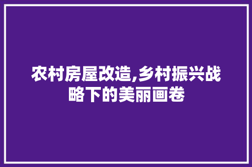 农村房屋改造,乡村振兴战略下的美丽画卷(乡村房屋改造案例)