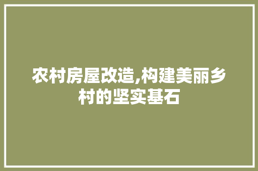 农村房屋改造,构建美丽乡村的坚实基石(农村房屋改造,构建美丽乡村的坚实基石是什么)
