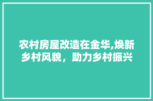 农村房屋改造在金华,焕新乡村风貌，助力乡村振兴(2021农村房屋改造)