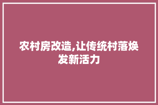 农村房改造,让传统村落焕发新活力(农村房改造,让传统村落焕发新活力)
