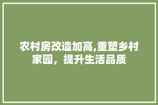 农村房改造加高,重塑乡村家园，提升生活品质(乡村房屋改造)