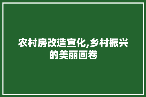 农村房改造宣化,乡村振兴的美丽画卷