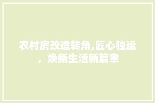 农村房改造转角,匠心独运，焕新生活新篇章 MI家装修攻略