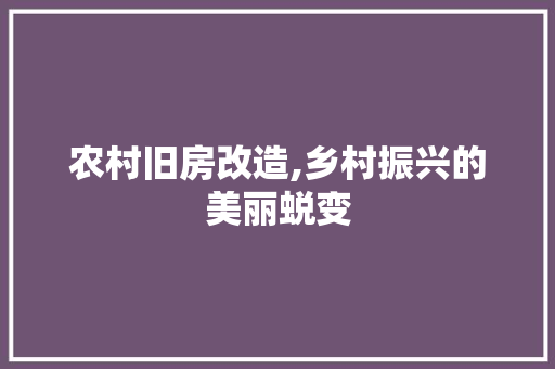 农村旧房改造,乡村振兴的美丽蜕变