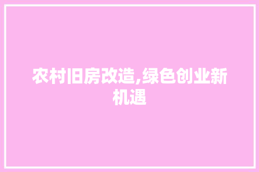 农村旧房改造,绿色创业新机遇