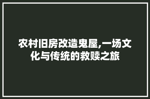 农村旧房改造鬼屋,一场文化与传统的救赎之旅