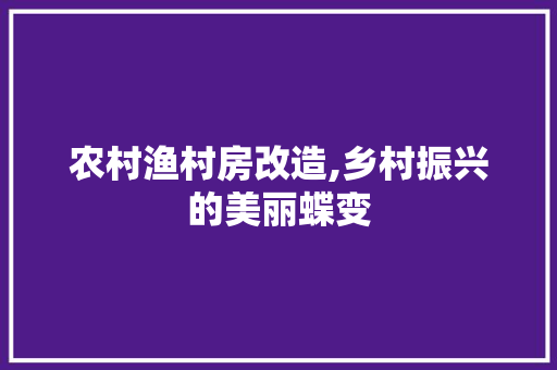 农村渔村房改造,乡村振兴的美丽蝶变