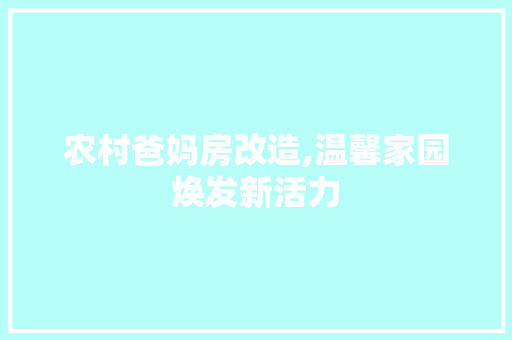 农村爸妈房改造,温馨家园焕发新活力 MI家装修攻略