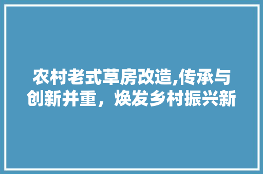 农村老式草房改造,传承与创新并重，焕发乡村振兴新活力