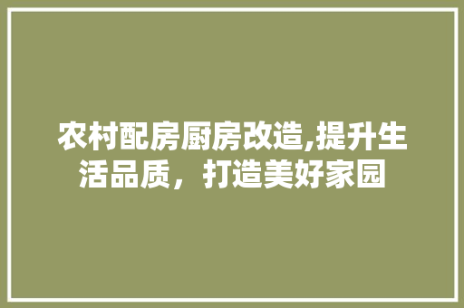农村配房厨房改造,提升生活品质，打造美好家园 MI家设计百科