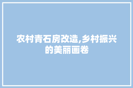 农村青石房改造,乡村振兴的美丽画卷