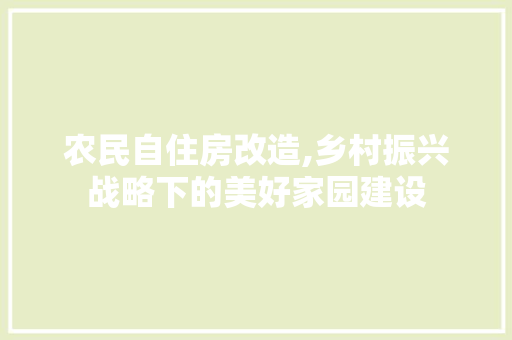 农民自住房改造,乡村振兴战略下的美好家园建设