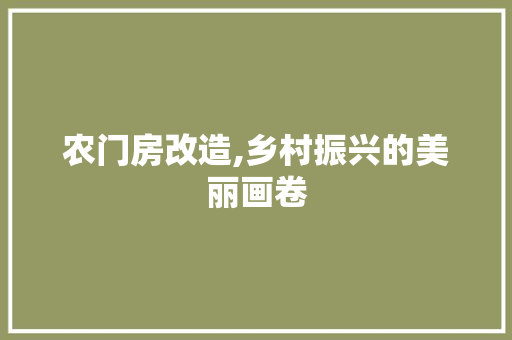 农门房改造,乡村振兴的美丽画卷 MI家装修攻略