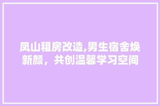 凤山租房改造,男生宿舍焕新颜，共创温馨学习空间 MI家装修经验