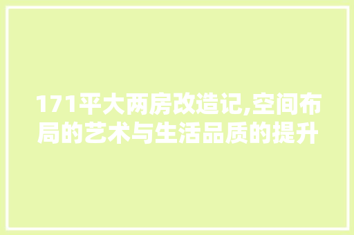 171平大两房改造记,空间布局的艺术与生活品质的提升