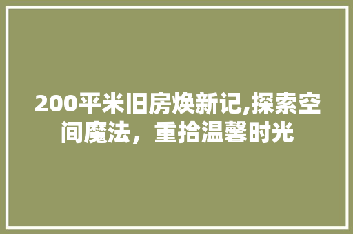 200平米旧房焕新记,探索空间魔法，重拾温馨时光 MI家公司推荐