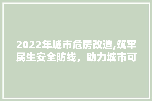 2022年城市危房改造,筑牢民生安全防线，助力城市可持续发展