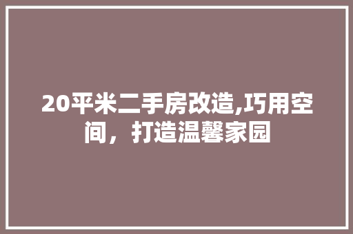 20平米二手房改造,巧用空间，打造温馨家园 MI家公司推荐