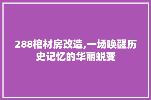 288棺材房改造,一场唤醒历史记忆的华丽蜕变