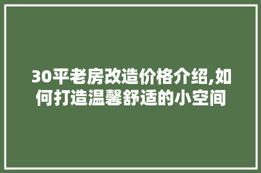 30平老房改造价格介绍,如何打造温馨舒适的小空间