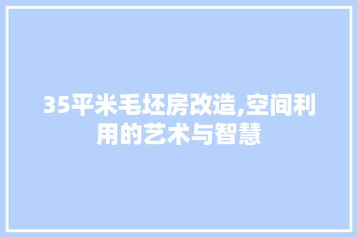 35平米毛坯房改造,空间利用的艺术与智慧