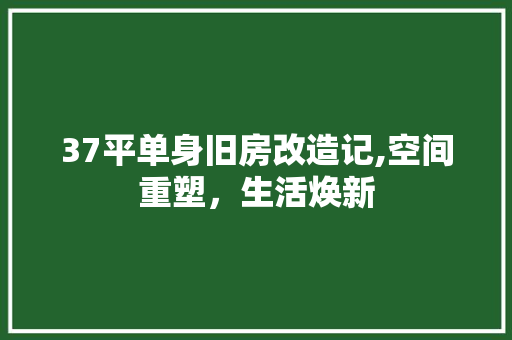 37平单身旧房改造记,空间重塑，生活焕新