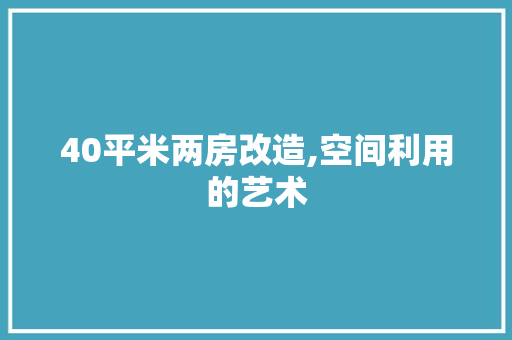 40平米两房改造,空间利用的艺术
