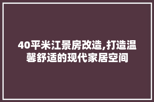 40平米江景房改造,打造温馨舒适的现代家居空间 MI家公司推荐