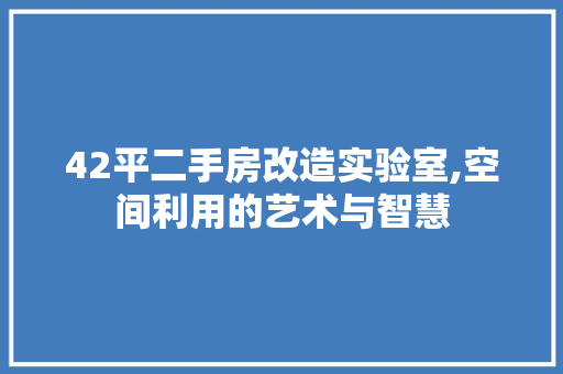 42平二手房改造实验室,空间利用的艺术与智慧