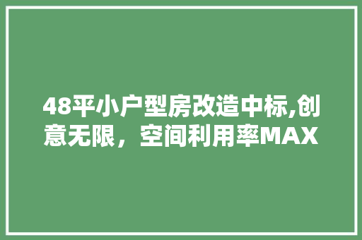 48平小户型房改造中标,创意无限，空间利用率MAX