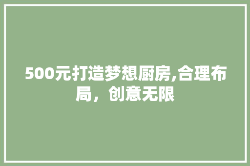 500元打造梦想厨房,合理布局，创意无限