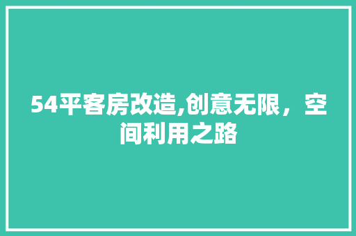 54平客房改造,创意无限，空间利用之路