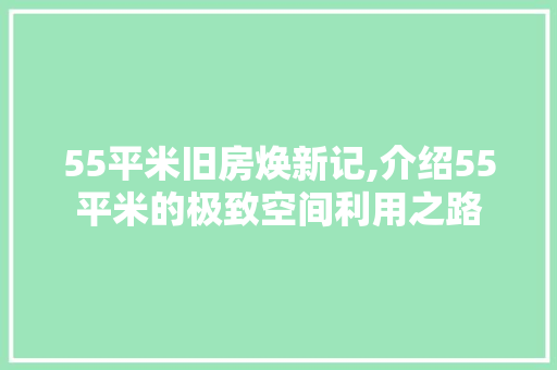 55平米旧房焕新记,介绍55平米的极致空间利用之路